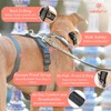 Anti-Pull 3-Point Anti-Escape Harness - Ideal for Lebreles: Italian Greyhound,