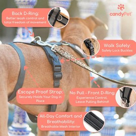 Anti-Pull 3-Point Anti-Escape Harness - Ideal for Lebreles: Italian Greyhound, Whippet, Greyhound, Podenco - Safe, Breathable and Durable Walking, Training and Running - Pink, L