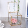 Gold Edge Geometric Glass Plant Planter Succulent Plants Container Home