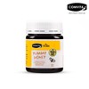(Comvita) Kids Honey 250g / (콤비타)키즈허니 250g