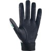ZETT BG13011C Pro Status Batting Gloves Two-Handed Silver x Green