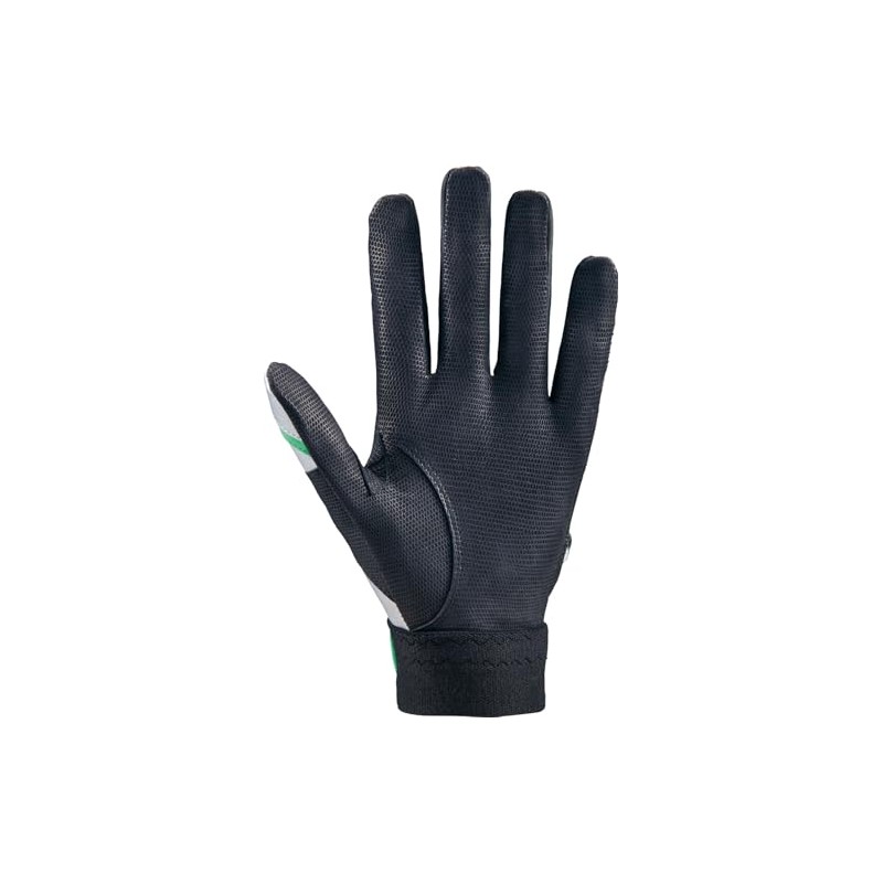 ZETT BG13011C Pro Status Batting Gloves Two-Handed Silver x Green