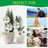 13 oz Up 2 Weeks Large Plant Watering Globes -