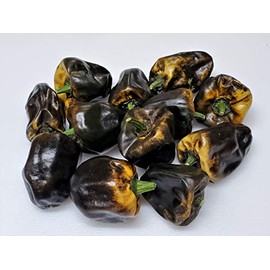 Chilhuacle Amarillo Pepper Seeds 10+ Seeds