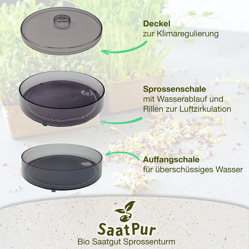 SaatPur® Sprout Box Set 1 with One Tier as Sprouts