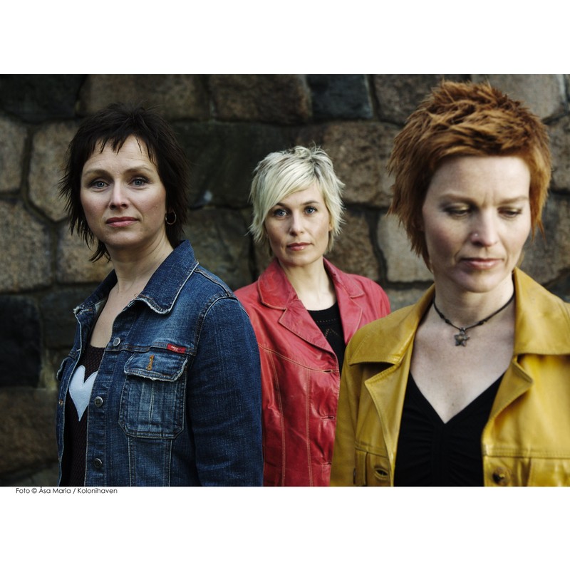 A Worcester Ladymass