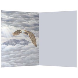 Tree-Free Greetings ECOnotes Notecard Set, 4 x 6 Inches, 12-Count Notecards with Envelopes, Eagle Spirit (66685)