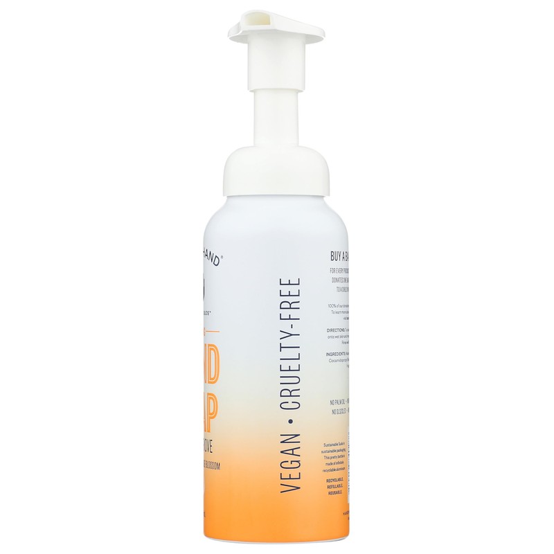 Hand In Hand Citrus Grove Foaming Hand Soap, 8.5 Fz