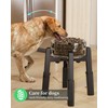 CZPET Dog Bowl Stand with Mat with Adjustable Height and