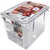 Kokubo KK-646 Transparent Vegetable Storage Container with Grate, Small, Made