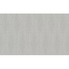 Emiliana Parati Wallpaper Gianfranco Ferre Home GF62084