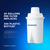 AQUAPHOR B15 Universal Replacement Water Filter cartridges, fits All Brita