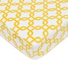 American Baby Company Printed Heavenly Soft Chenille Fitted Crib Sheet,