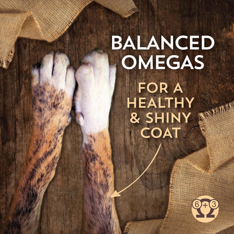 Wholesomes Chicken Meal & Rice Dry Dog Food Recipe 40lb