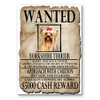 Yorkshire Terrier Wanted Fridge Magnet
