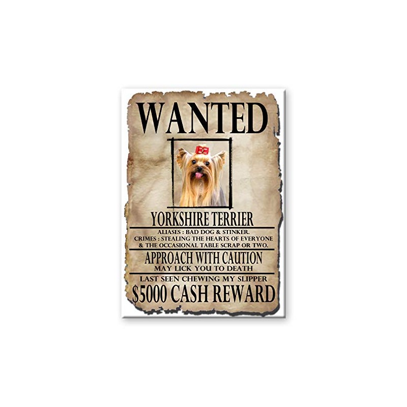 Yorkshire Terrier Wanted Fridge Magnet