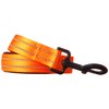 Alcott Adventure Pet Leash