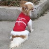 LOPHIPETS Dog I'm Cute But Dangerous Letter Print Shirts for