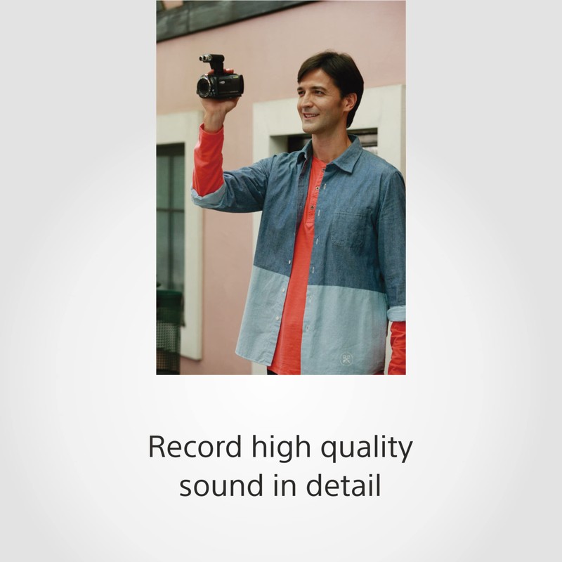 Original Sony Mainboard L06, A174 9222 A (L06)