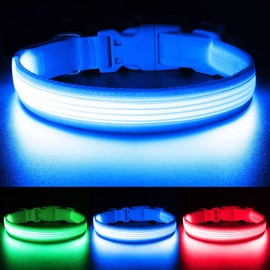 YFbrite Light up Dog Collar, USB Rechargeable LED Puppy Collar Super Bright Adjustable Glowing Dog Lights for Night Walking (Design-2- Blue, Medium)
