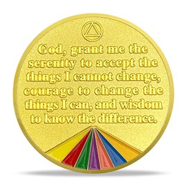 9 Month Sobriety Coin Gifts Set | Alcoholics Anonymous Rainbow Triangle NA HA AA Chip Medallion with Serenity Prayer | Sobriety Gifts for Anniversary Month & Year for Men & Women in Recovery