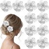 Decorative Flower Hair Clips, Silver Metallic Hawaiian Style, 10 Pack,