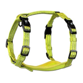 flexi Alcott Essentials Visibility Adventure Pet Harness, Small, Neon Yellow Nylon with Reflective Accents