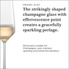 ZWIESEL GLAS Pure Champagne Glass (Set of 2), Champagne Flutes