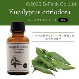 Natural 100% Eucalyptus Citriodora Oil (Lemon Eucalyptus) 30ml Essential Oil Aroma Oil