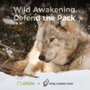 ATEPA Down Sleeping Bag for Adults, 700FP Recycled Wearable Ultralight