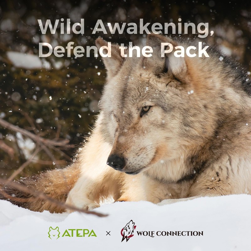 ATEPA Down Sleeping Bag for Adults, 700FP Recycled Wearable Ultralight