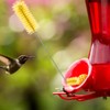 Perthlin Hummingbird Feeder Cleaning Brush 19 Pieces 3 Size Mini