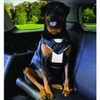 Bergan 88200-tabsml - Arnés de seguridad para perro con correa