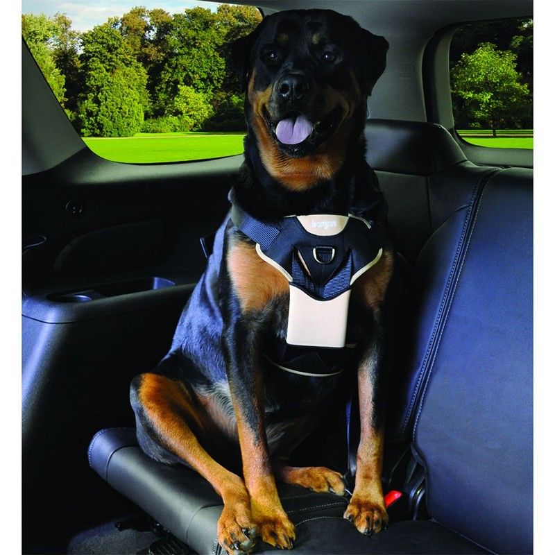 Bergan 88200-tabsml - Arnés de seguridad para perro con correa