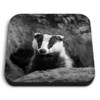 1 x Square MDF Fridge Magnet - Badger Sett Wildlife