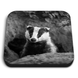 1 x Square MDF Fridge Magnet - Badger Sett Wildlife Animal 36727