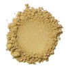 Kylie's Professional Mineral Goddess Loose Foundation, Angel 8g
