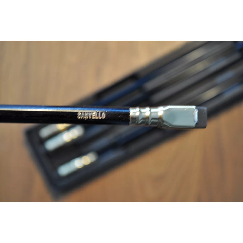 Blackwing Sanvello Pencils : 4 Boxes (16 pencils)