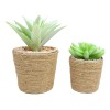 Ebros Gift Set Of 3 Realistic Artificial Botanica Plant Succulents