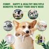LEGEND SANDY - Juguetes Masticables y Juegos para Perros, Juguete