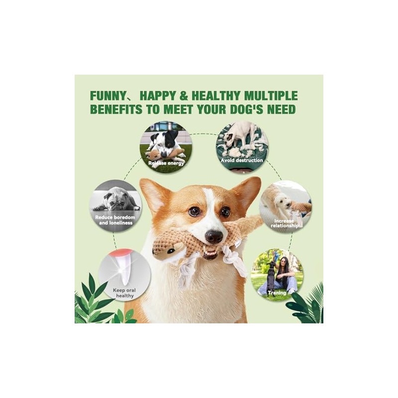 LEGEND SANDY - Juguetes Masticables y Juegos para Perros, Juguete