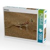 CALVENDO Puzzle Desert Gecko 1000 Pieces Photo Puzzle for Happy