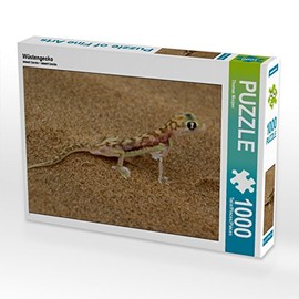 CALVENDO Puzzle Desert Gecko 1000 Pieces Photo Puzzle for Happy Hours