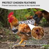 Chicken Saddle for Hens Chicken Aprons & Vest Jacket for
