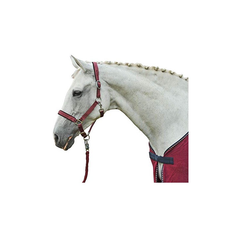 Hkm 558615 Rope Stars with Panic Hook, Black, 180 cm