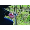 FELCO 17 Gartenschere für Linkshänder (kompakte Baumschere, mit Rollgriff, Schere