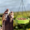 AOVNA Hanging Bird Bath Bird Feeders with Hanging Iron Chain
