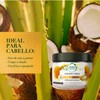 Tratamiento para cabello Herbal Essences Bío renew Leche de Coco