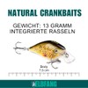 Elbfang Wobbler Set – Artificial Bait for Predatory Fish Fishing