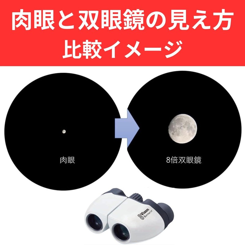 Vixen Binoculars Compact Lightweight Binoculars 8×21 White 8x magnification Total
